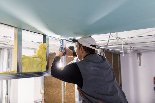 Best Residential Insulation in Oakbrook Terrace, IL