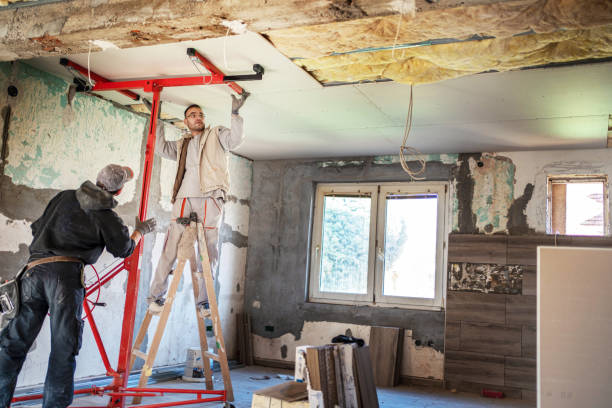 Best Cellulose Insulation in Oakbrook Terrace, IL