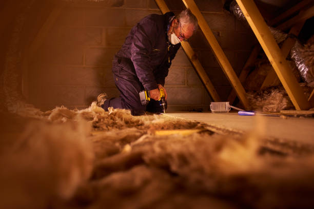Best Geographic-Specific Insulation Services in Oakbrook Terrace, IL
